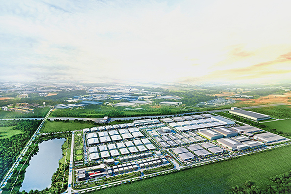 Gruppo di scalpelli dello Yunnan